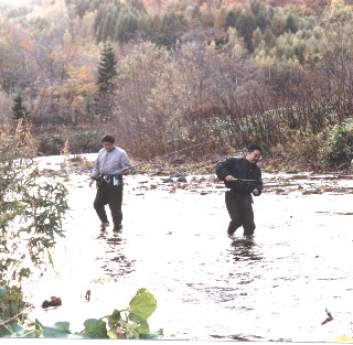 d0006253_1342228.jpg