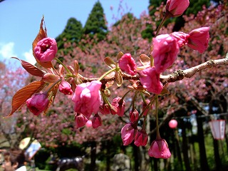 c0208355_11322660.jpg