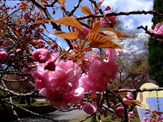 c0208355_11395260.jpg