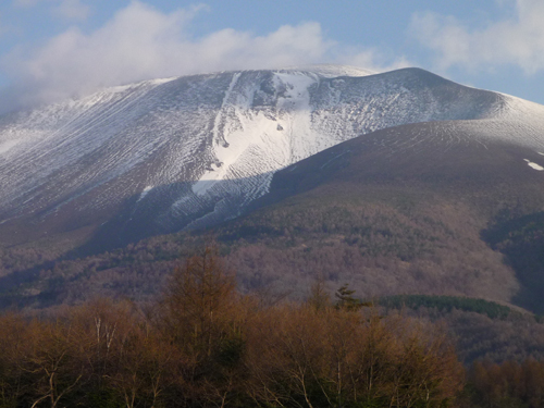 b0045357_1425897.jpg