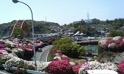 f0131263_10402815.jpg