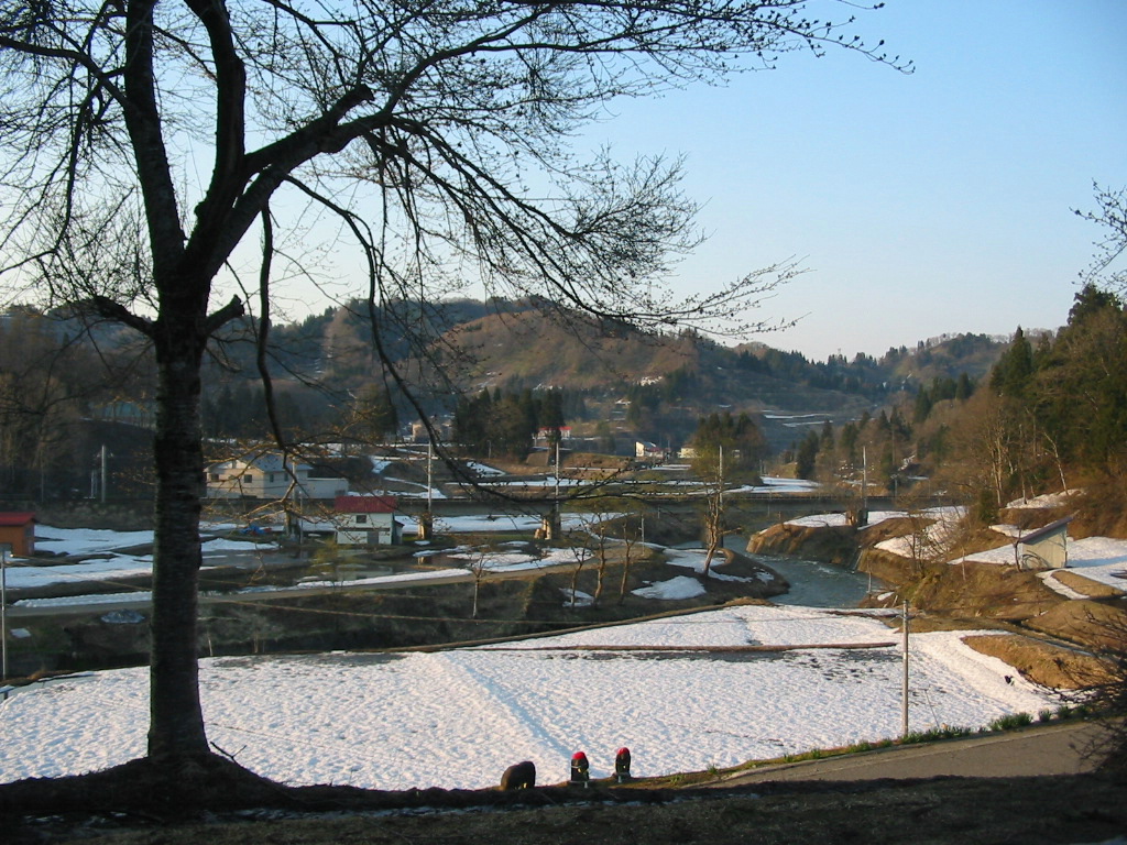 e0176366_16574592.jpg