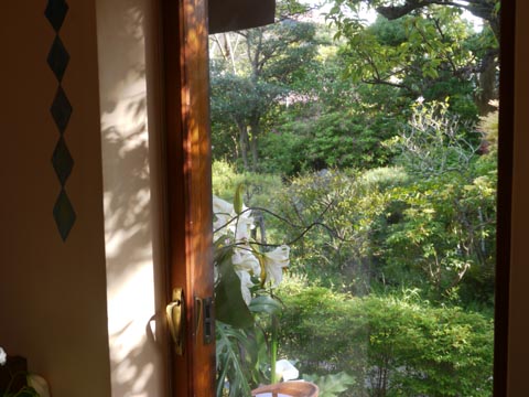 e0052268_16502770.jpg