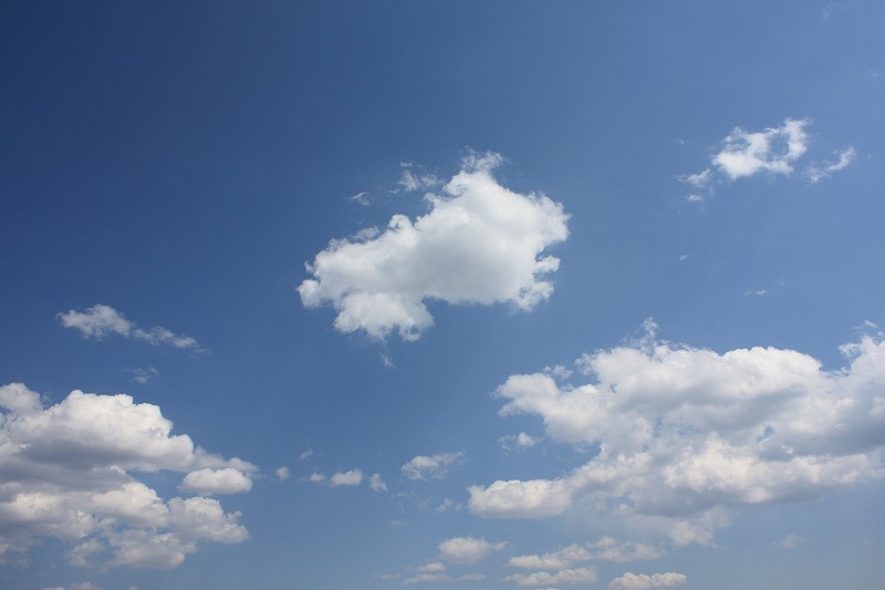 a0104569_19593113.jpg