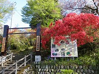 b0004675_17431953.jpg