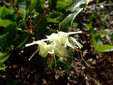 c0022275_20351197.jpg