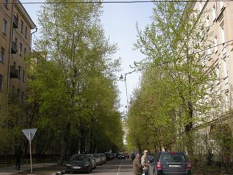f0209878_311317.jpg