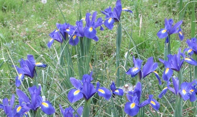 f0003283_19411711.jpg