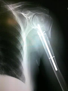 c0118486_1025245.jpg