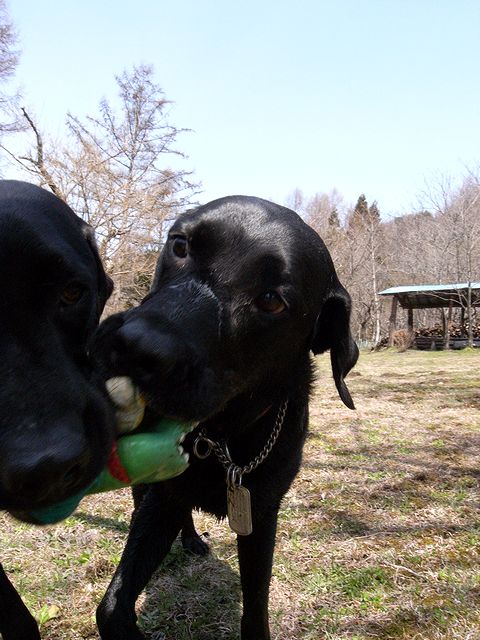 a0093592_0561430.jpg