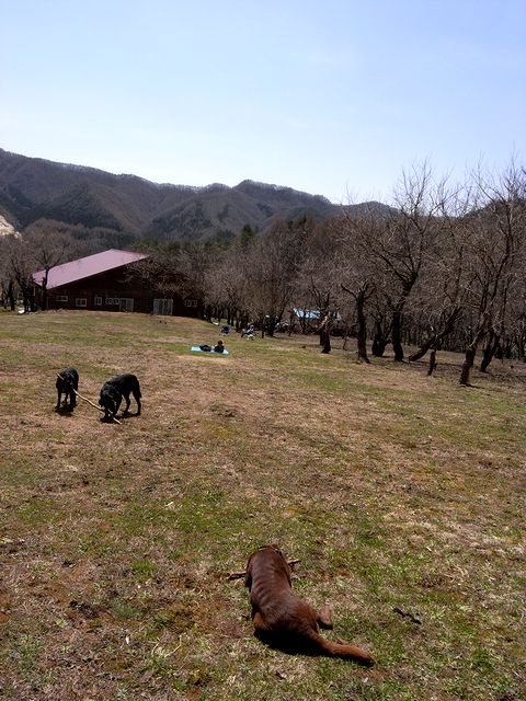a0093592_1161918.jpg