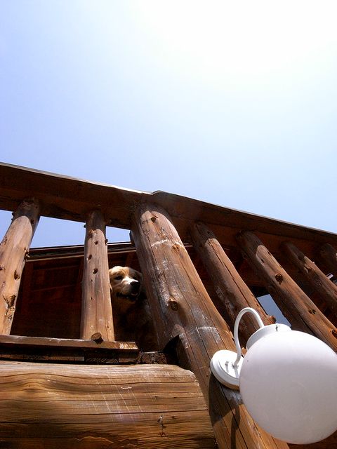a0093592_1281152.jpg