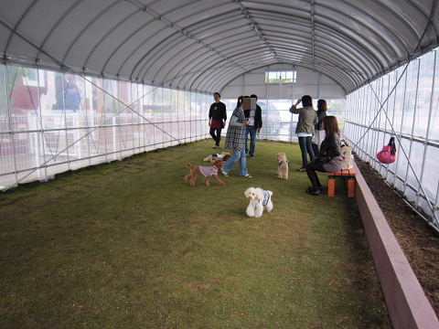b0104592_2213223.jpg