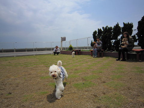 b0104592_22204184.jpg