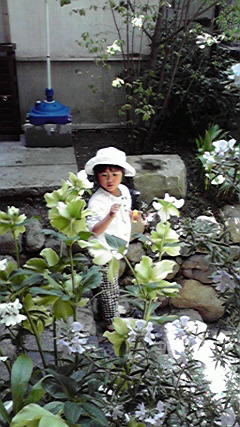 b0143093_18424155.jpg