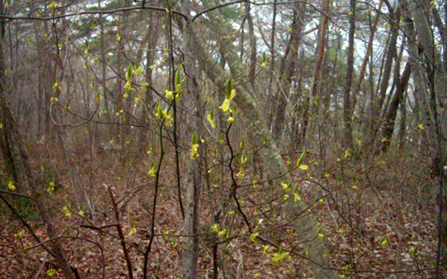 b0099994_9403076.jpg