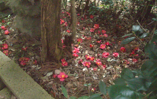 b0099994_9423032.jpg