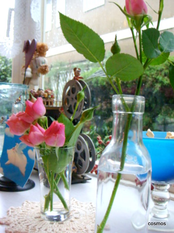 f0137694_036148.jpg