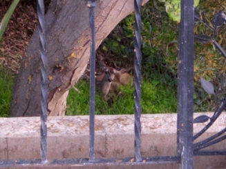 e0108198_9261916.jpg