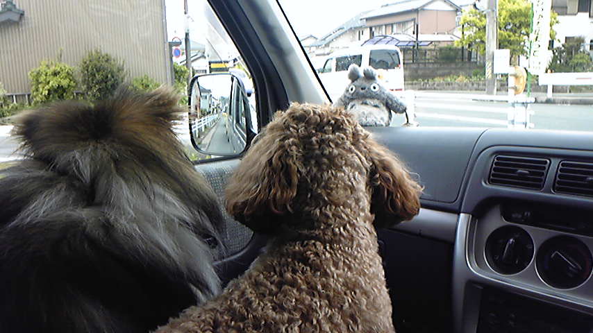 c0220700_12392188.jpg