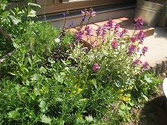 c0196701_15425392.jpg