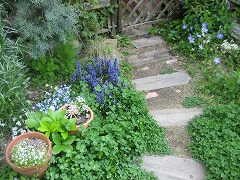 c0196701_15431148.jpg