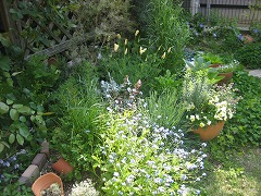 c0196701_15471878.jpg