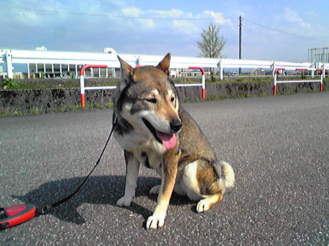 f0079202_15241920.jpg