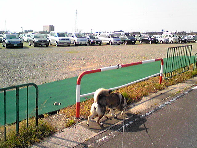f0079202_15241933.jpg