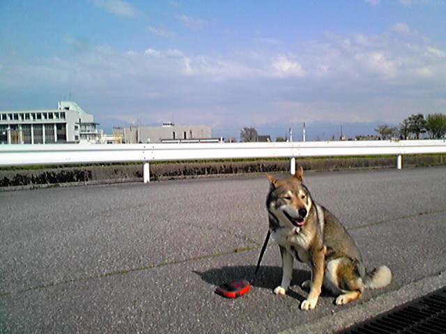 f0079202_1524196.jpg