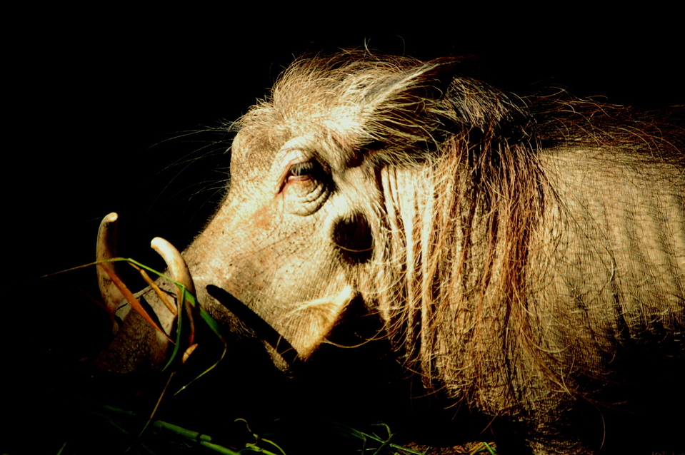 a0157704_1282115.jpg