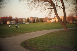 c0202705_1904750.jpg