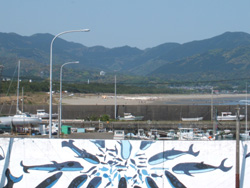 f0048405_1884460.jpg
