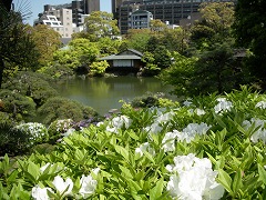c0190010_21254936.jpg