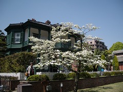 c0190010_2126165.jpg