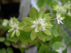 c0190010_21281655.jpg