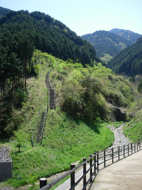 a0129311_311666.jpg