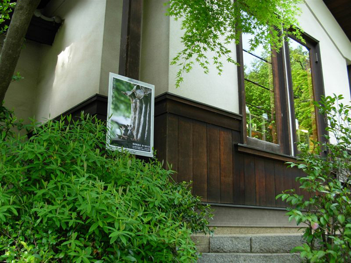 d0108212_1152346.jpg