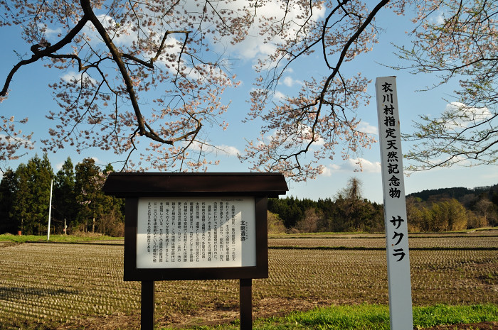 a0162813_20332483.jpg