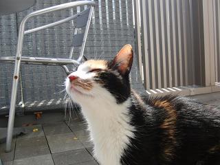 c0201113_20514022.jpg