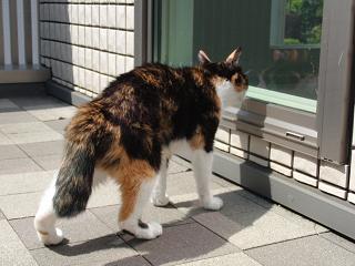 c0201113_20515939.jpg