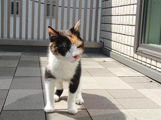 c0201113_20521539.jpg