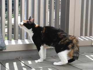 c0201113_20522969.jpg