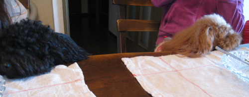 c0175715_23195584.jpg