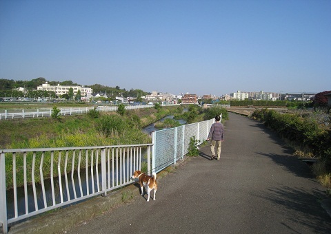 c0084117_2046134.jpg