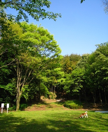 c0084117_2047554.jpg