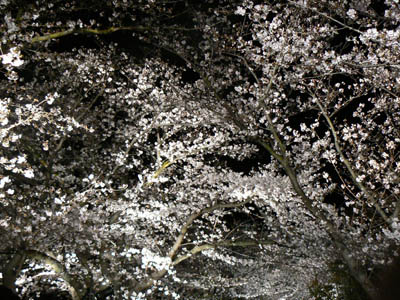 e0148120_2353138.jpg