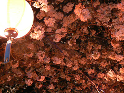 e0148120_235421.jpg