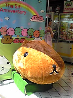 c0003521_1542351.jpg