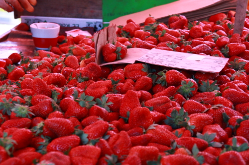 f0039021_131763.jpg